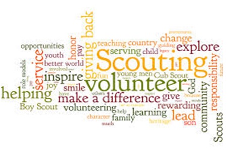 Volunteer Internship Programme